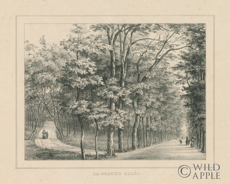 Reproduction of French Park Etching II by Wild Apple Portfolio - Wall Decor Art