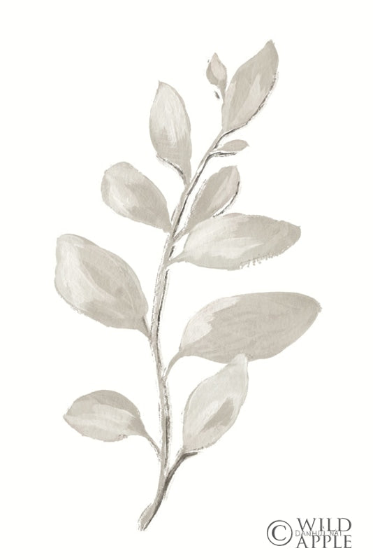 Reproduction of Gray Sage Leaves I on White by Danhui Nai - Wall Decor Art