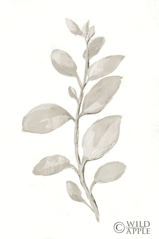 Reproduction of Gray Sage Leaves II on White by Danhui Nai - Wall Decor Art