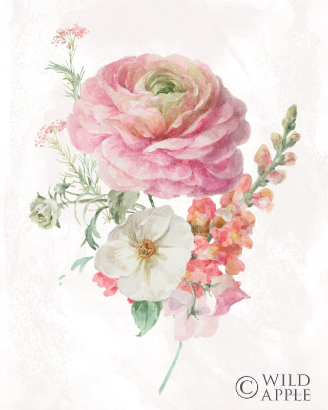 Reproduction of Sorbet Floret V by Danhui Nai - Wall Decor Art