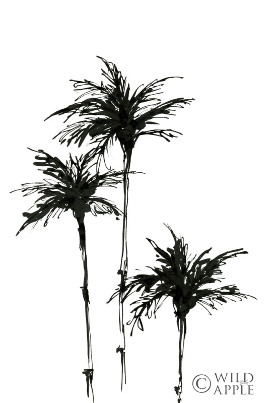 Reproduction of Dark Palms II by Chris Paschke - Wall Decor Art