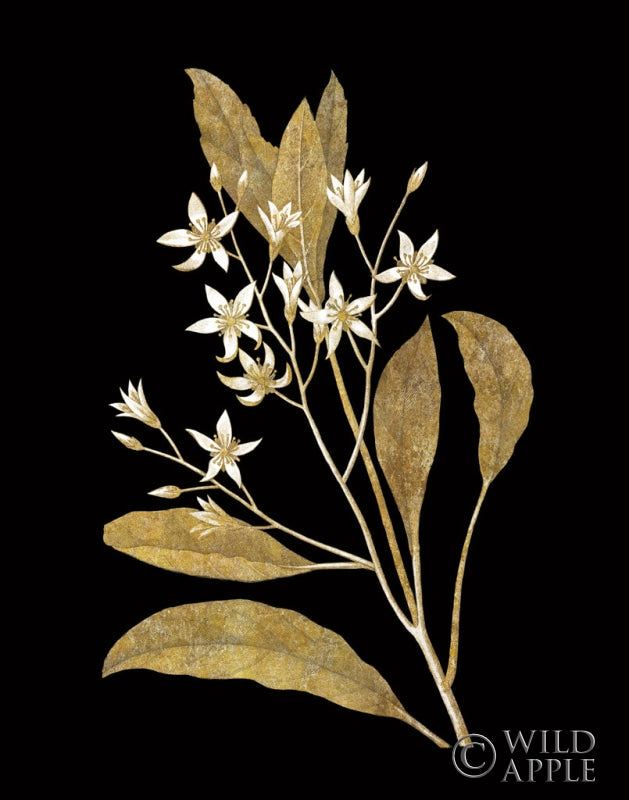 Reproduction of Gold Botanical V on Black by Wild Apple Portfolio - Wall Decor Art