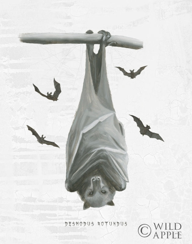 Reproduction of Halloween Treats V by James Wiens - Wall Decor Art