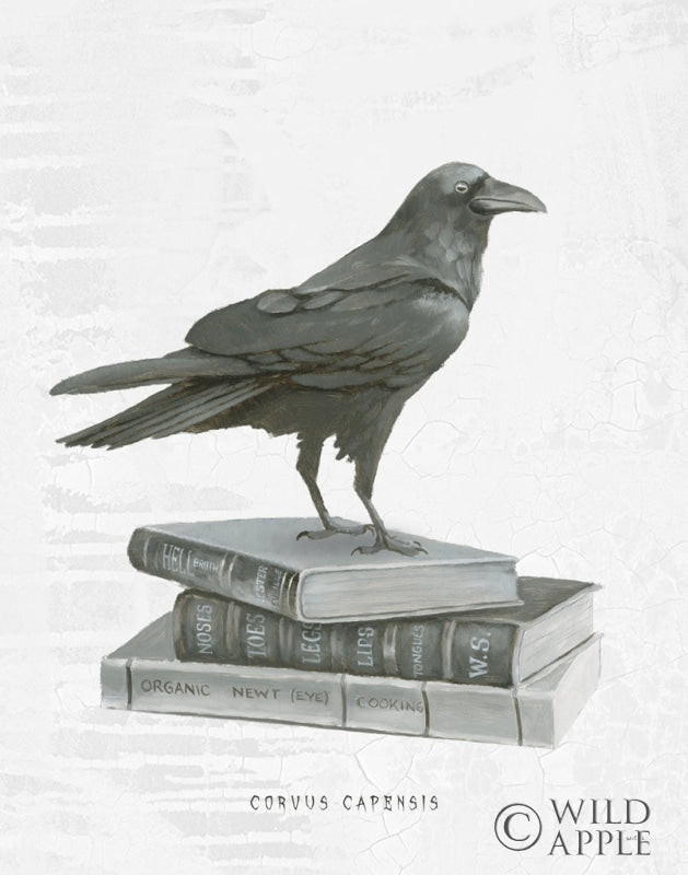 Reproduction of Halloween Treats VII by James Wiens - Wall Decor Art