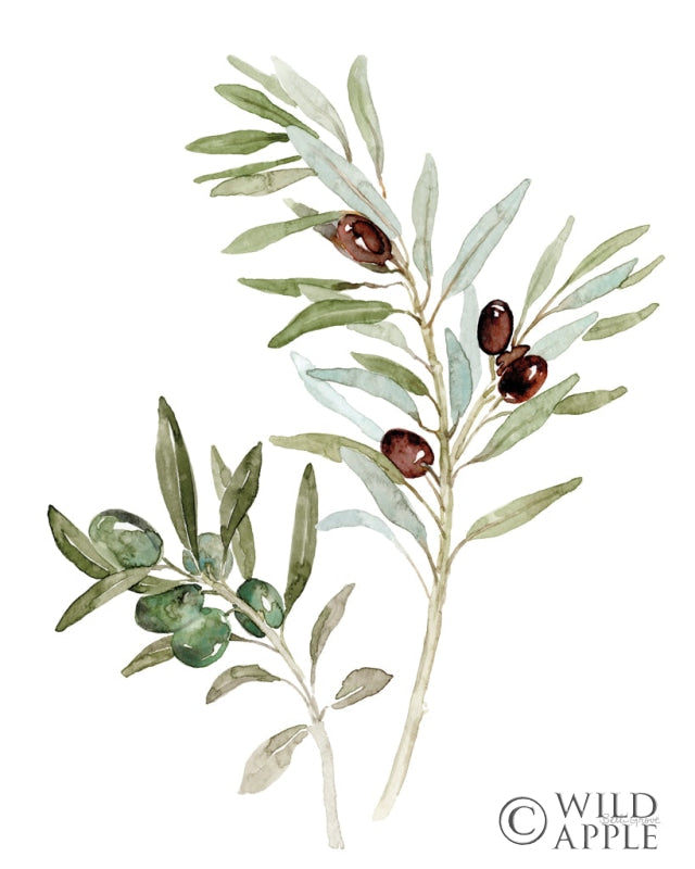 Reproduction of Mediterranean Motif IX on White by Beth Grove - Wall Decor Art