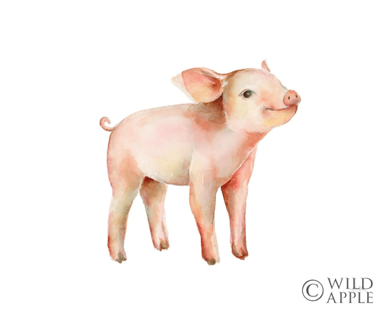 Reproduction of Sweet Piggy on White by Katrina Pete - Wall Decor Art