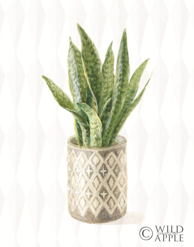 Reproduction of Desert Greenhouse XVI by Danhui Nai - Wall Decor Art