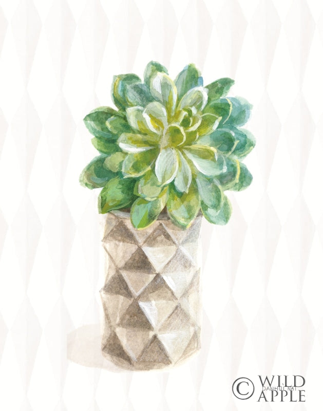 Reproduction of Desert Greenhouse XVIII by Danhui Nai - Wall Decor Art