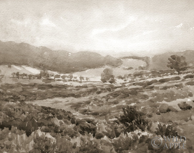 Reproduction of Field of Flowers Sepia by Wild Apple Portfolio - Wall Decor Art