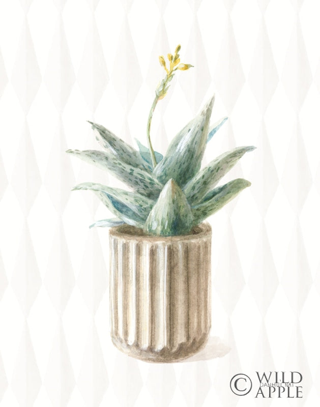 Reproduction of Desert Greenhouse XX by Danhui Nai - Wall Decor Art