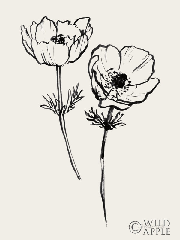 Reproduction of Ink Anemones I Black by Sara Zieve Miller - Wall Decor Art