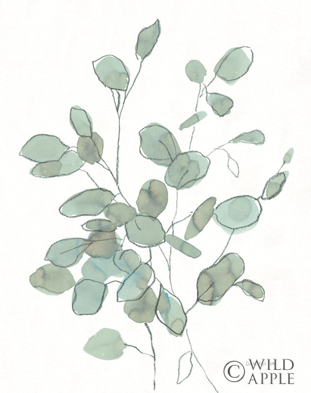 Reproduction of Transparent Leaves Eucalyptus by Danhui Nai - Wall Decor Art