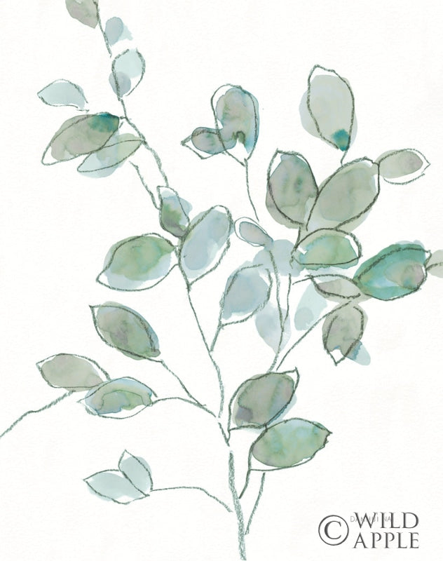 Reproduction of Transparent Branch Eucalyptus by Danhui Nai - Wall Decor Art