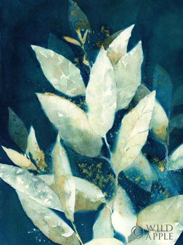 Reproduction of Shower of Gold II by Kathy Ferguson - Wall Decor Art