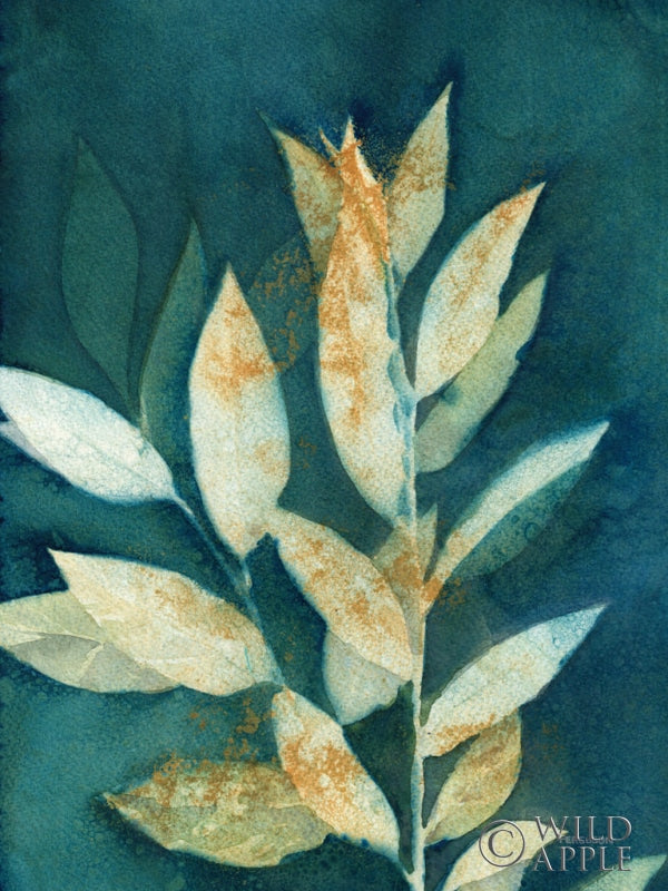 Reproduction of Shower of Gold III by Kathy Ferguson - Wall Decor Art