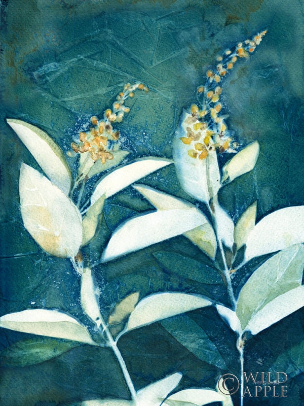 Reproduction of Shower of Gold IV by Kathy Ferguson - Wall Decor Art