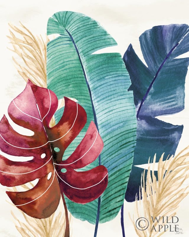 Reproduction of The Tropics III by Dina June - Wall Decor Art