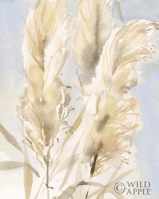 Reproduction of Pampas Grasses II by Katrina Pete - Wall Decor Art