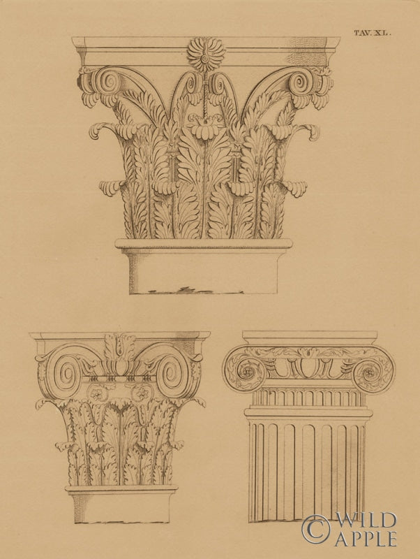 Reproduction of Italian Volute Dark by Wild Apple Portfolio - Wall Decor Art