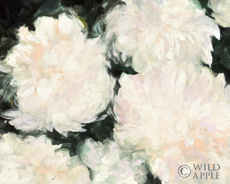 Reproduction of Blushing Summer I on Black by Julia Purinton - Wall Decor Art