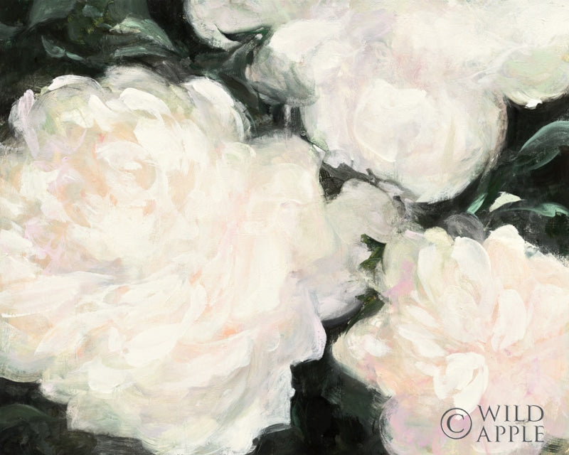 Reproduction of Blushing Summer II on Black by Julia Purinton - Wall Decor Art
