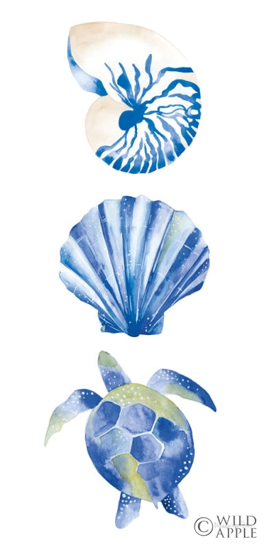 Reproduction of Salty Waves Shells by Mercedes Lopez Charro - Wall Decor Art