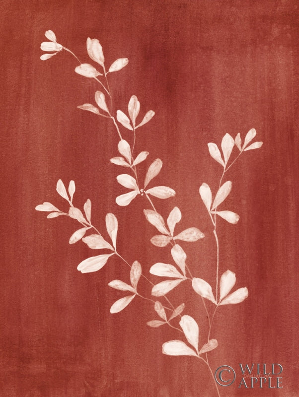 Reproduction of Simple Nature II Burgundy by Danhui Nai - Wall Decor Art