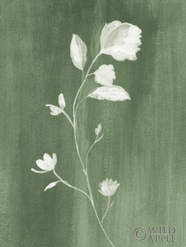 Reproduction of Simple Nature III Sage by Danhui Nai - Wall Decor Art