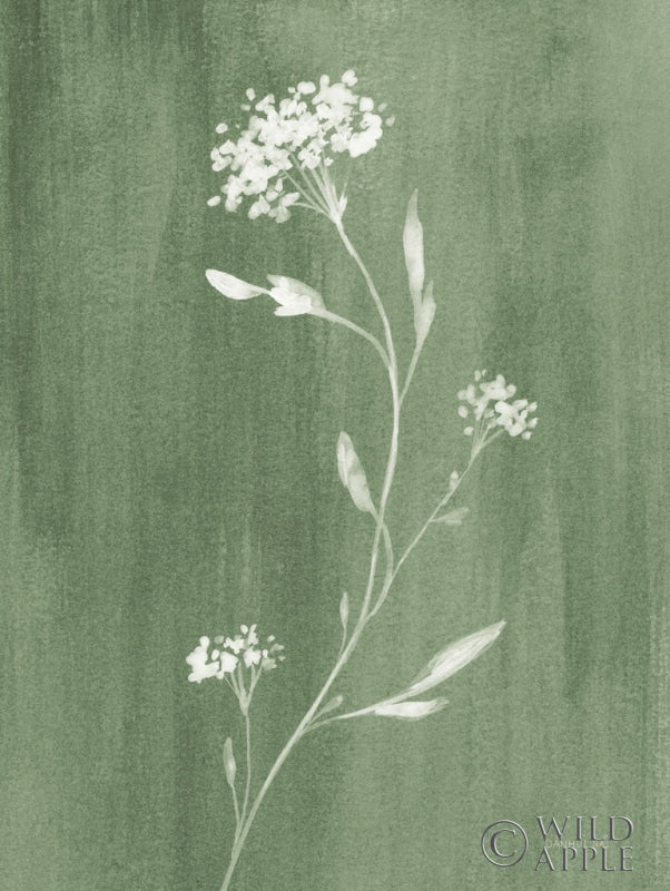 Reproduction of Simple Nature IV Sage by Danhui Nai - Wall Decor Art