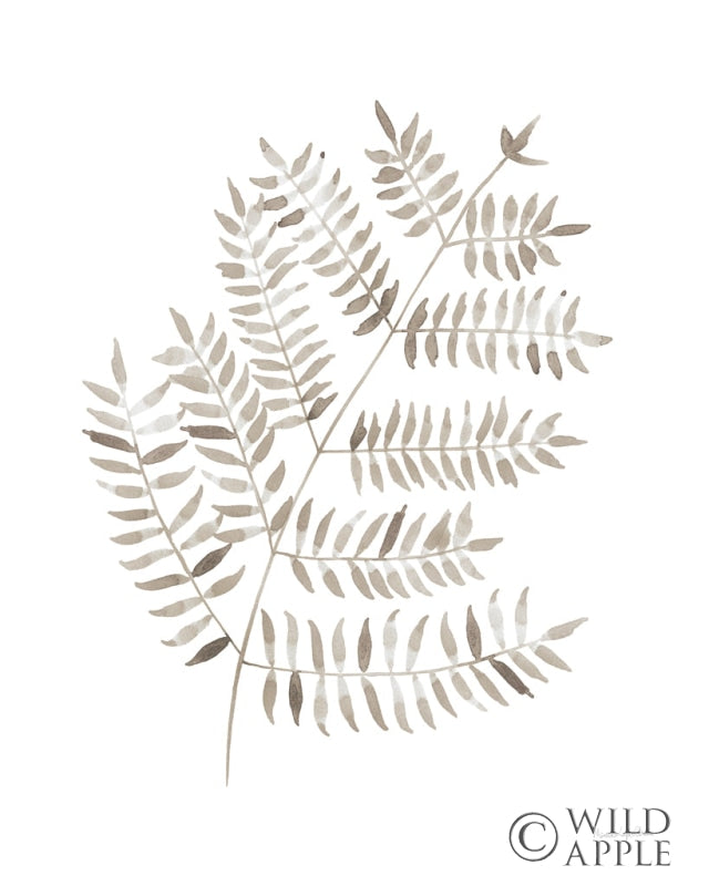 Reproduction of Woodland Fern Khaki by Mercedes Lopez Charro - Wall Decor Art