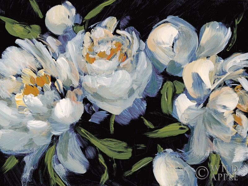 Reproduction of Peony Season II by Katrina Pete - Wall Decor Art