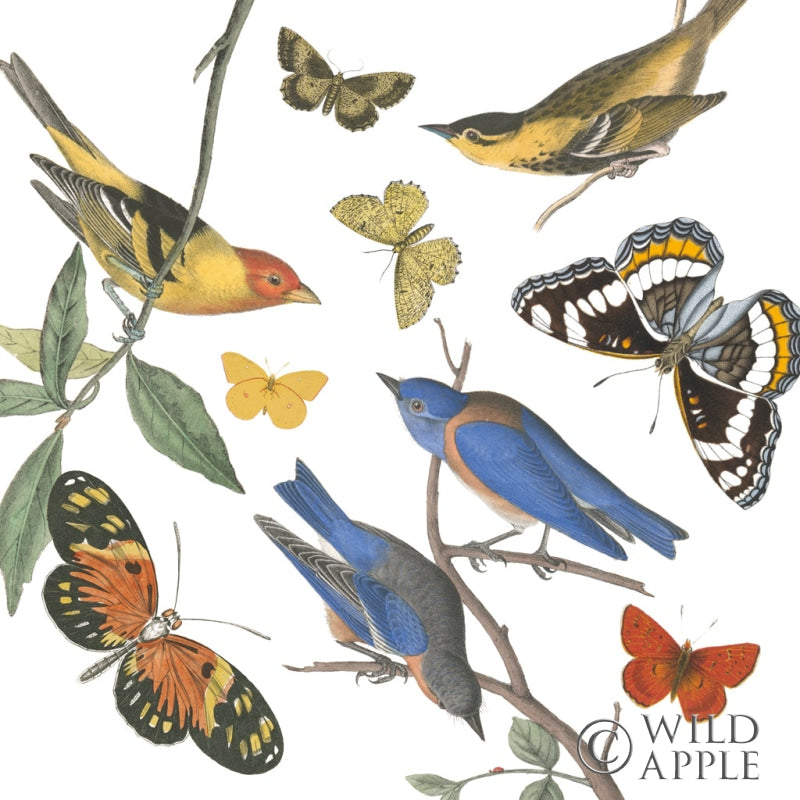 Reproduction of Natures Flight I No Ferns by Wild Apple Portfolio - Wall Decor Art