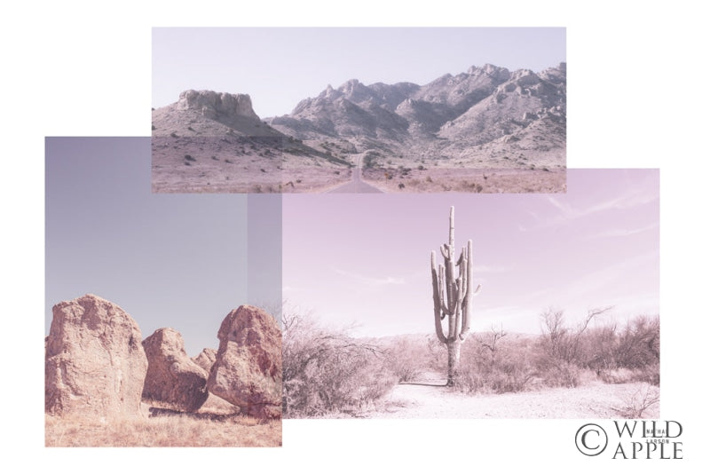 Reproduction of Desert Collage v2 by Nathan Larson - Wall Decor Art