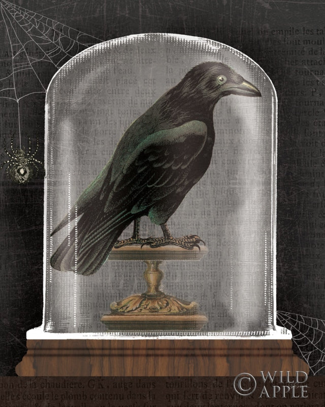 Reproduction of Apothecary Noir I Black by Sue Schlabach - Wall Decor Art