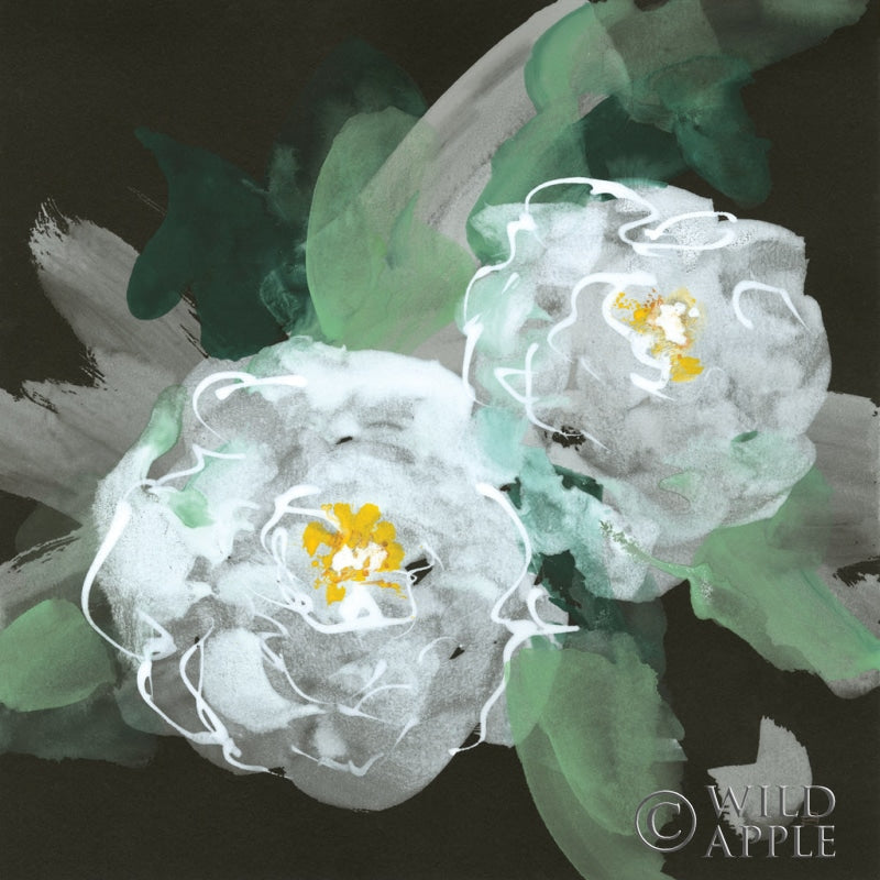 Reproduction of Peonies on Black I by Chris Paschke - Wall Decor Art