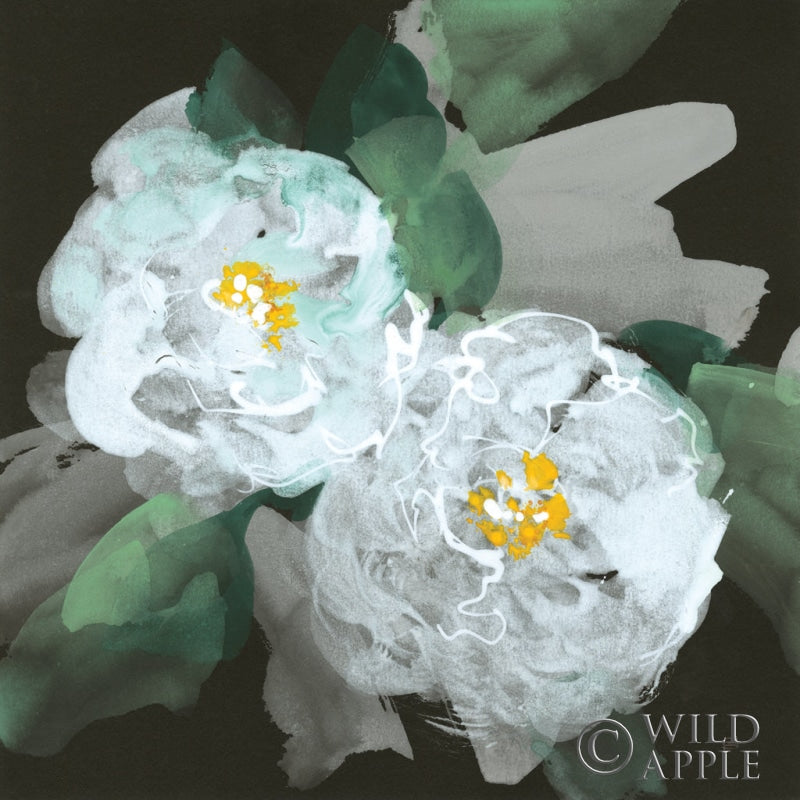 Reproduction of Peonies on Black II by Chris Paschke - Wall Decor Art