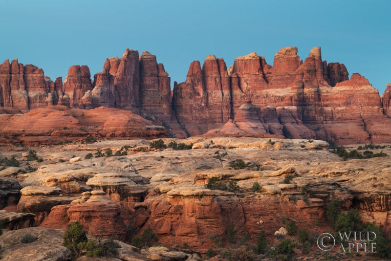 Reproduction of The Needles Canyonlands National Park by Alan Majchrowicz - Wall Decor Art