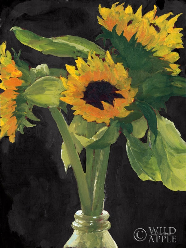 Reproduction of Sunny on Black by Sara Zieve Miller - Wall Decor Art