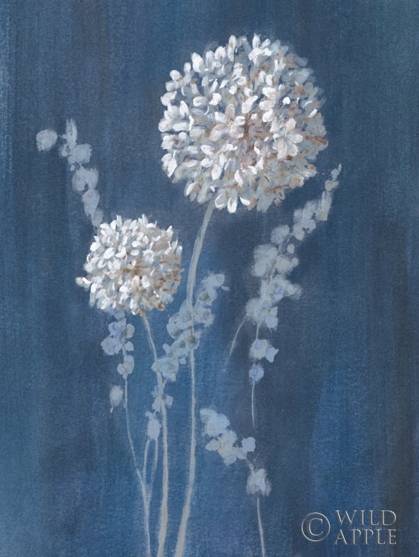 Reproduction of Airy Blooms I Dark Blue by Danhui Nai - Wall Decor Art