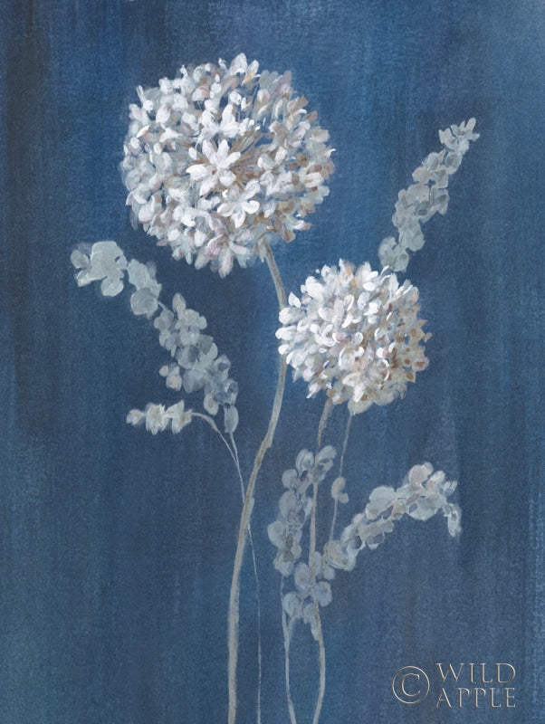 Reproduction of Airy Blooms II Dark Blue by Danhui Nai - Wall Decor Art