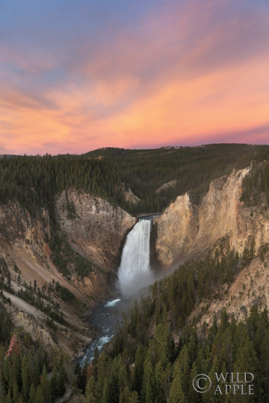 Reproduction of Lower Falls of the Yellowstone River II by Alan Majchrowicz - Wall Decor Art