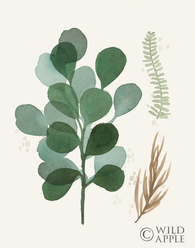 Reproduction of Leaf and Stem II by Laura Horn - Wall Decor Art