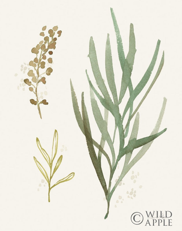 Reproduction of Leaf and Stem III by Laura Horn - Wall Decor Art