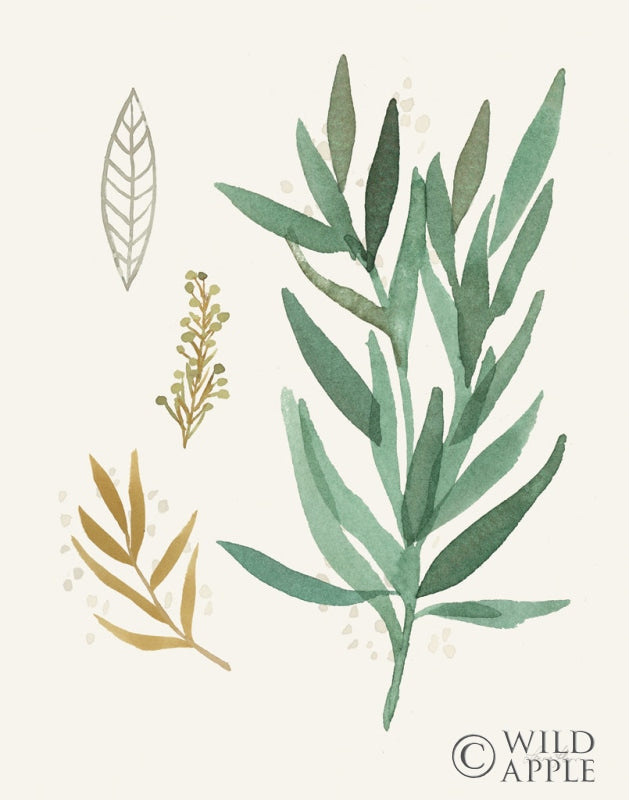 Reproduction of Leaf and Stem IV by Laura Horn - Wall Decor Art