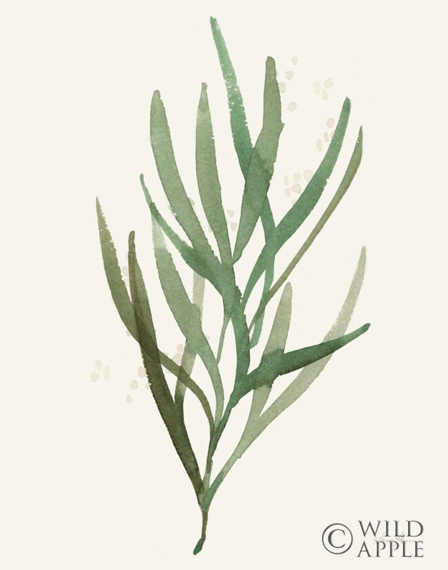 Reproduction of Leaf and Stem VII by Laura Horn - Wall Decor Art