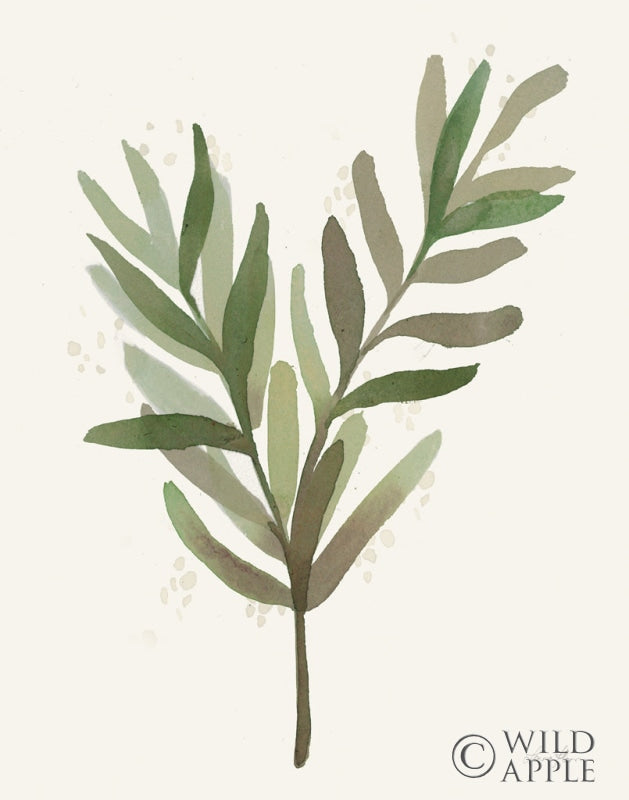 Reproduction of Leaf and Stem VIII by Laura Horn - Wall Decor Art