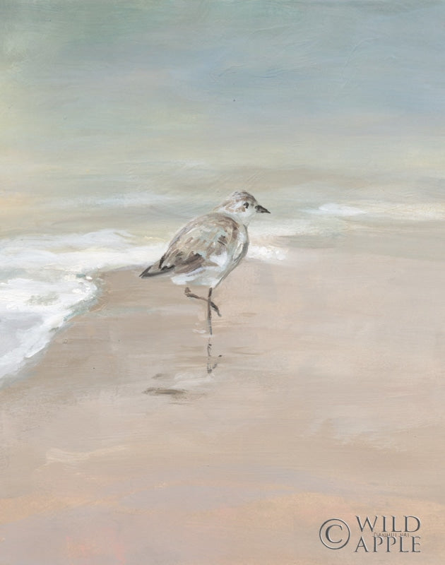 Reproduction of Shorebirds on the Sand II by Danhui Nai - Wall Decor Art