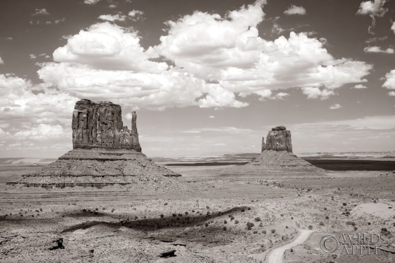 Monument Valley IV Sepia