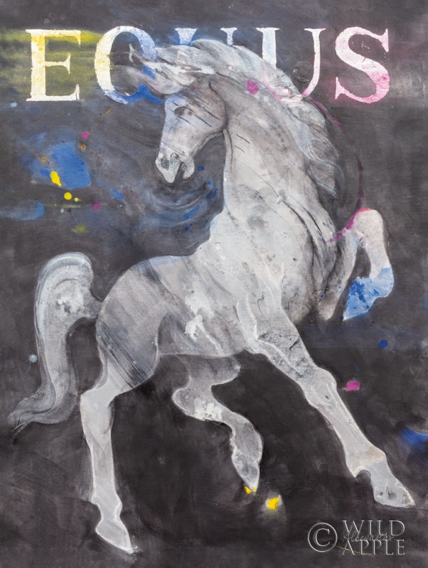 Reproduction of Equus Stallion by Albena Hristova - Wall Decor Art