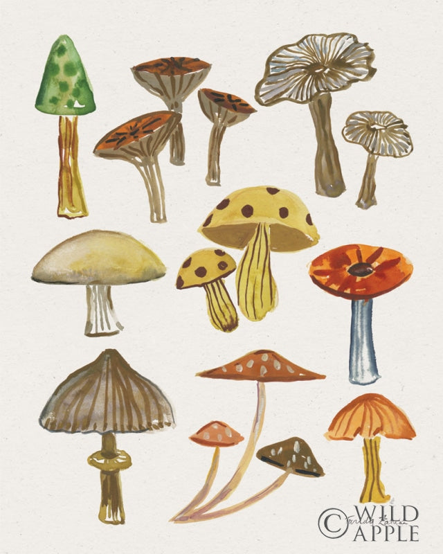 Reproduction of Forest Mushrooms I by Farida Zaman - Wall Decor Art